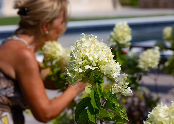 Casa Massaro Todeschini Apart Otel