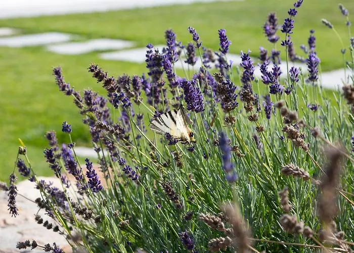Casa Massaro Todeschini Apart Otel Abano Terme