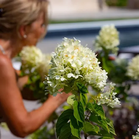 Casa Massaro Todeschini Aparthotel
