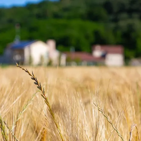 Casa Massaro Todeschini アパートホテル