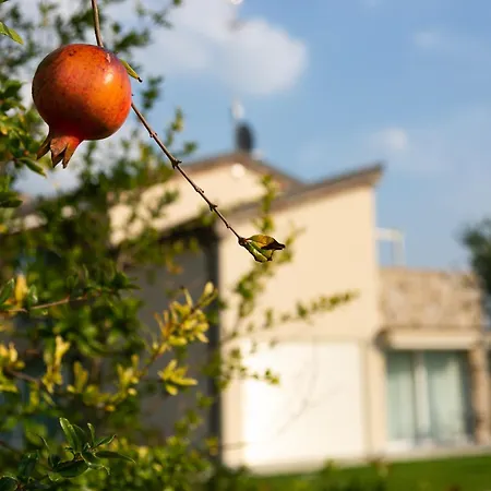 アパートホテル Casa Massaro Todeschini