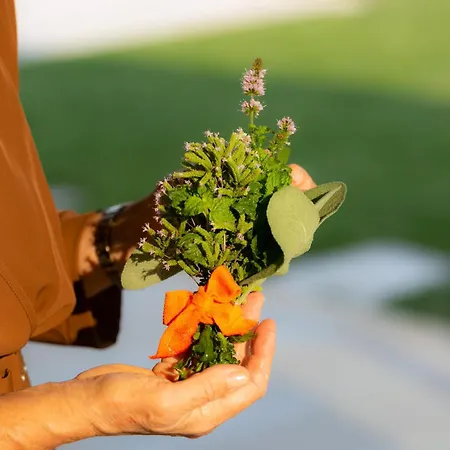 Casa Massaro Todeschini Abano Terme