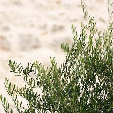 Casa Massaro Todeschini