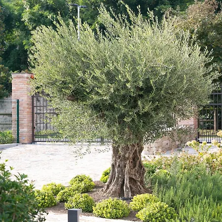 Casa Massaro Todeschini アパートホテル