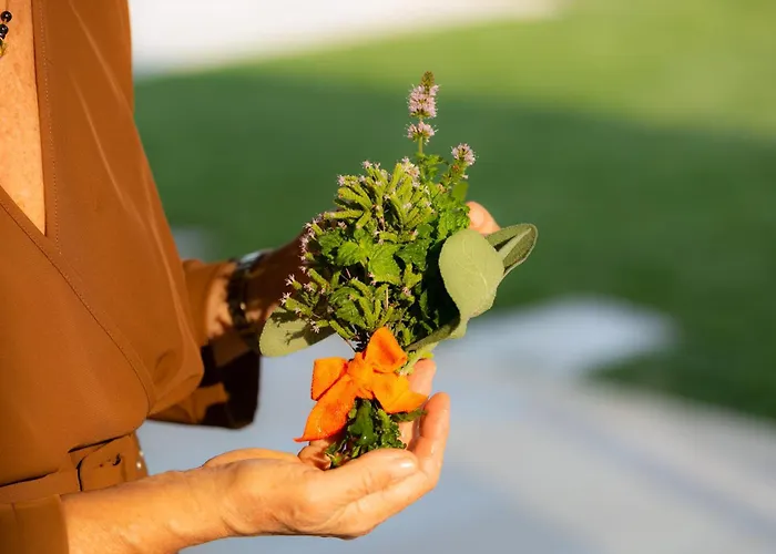 Casa Massaro Todeschini أبانو تيرمي