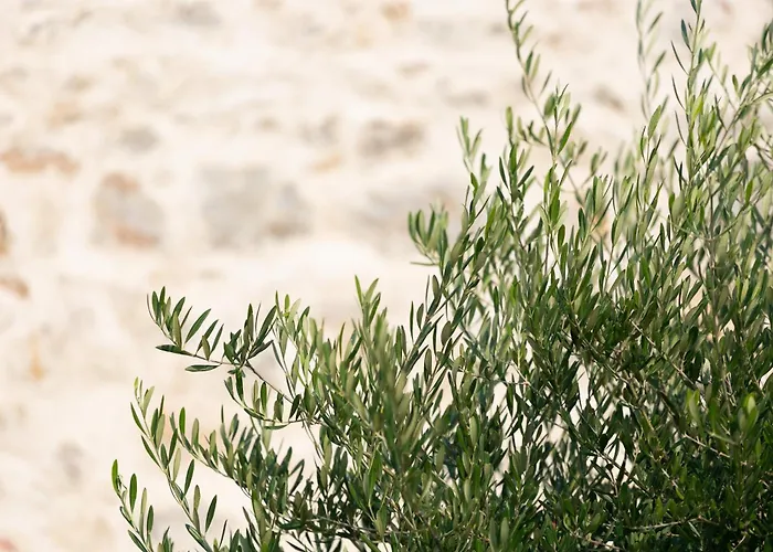 Casa Massaro Todeschini